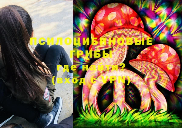 гидропоника Иннополис